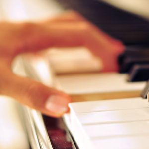 黄色网址是多少
