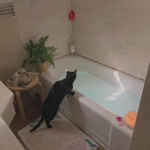 黄色网址是多少
