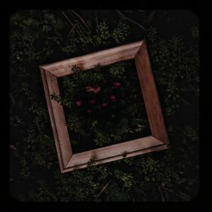 黄色网址是多少
