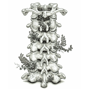 黄色网址是多少
