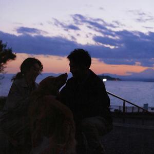 黄色网址是多少
