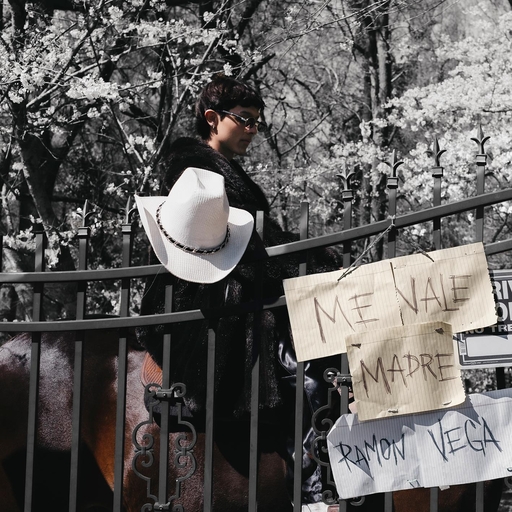 黄色网址是多少
